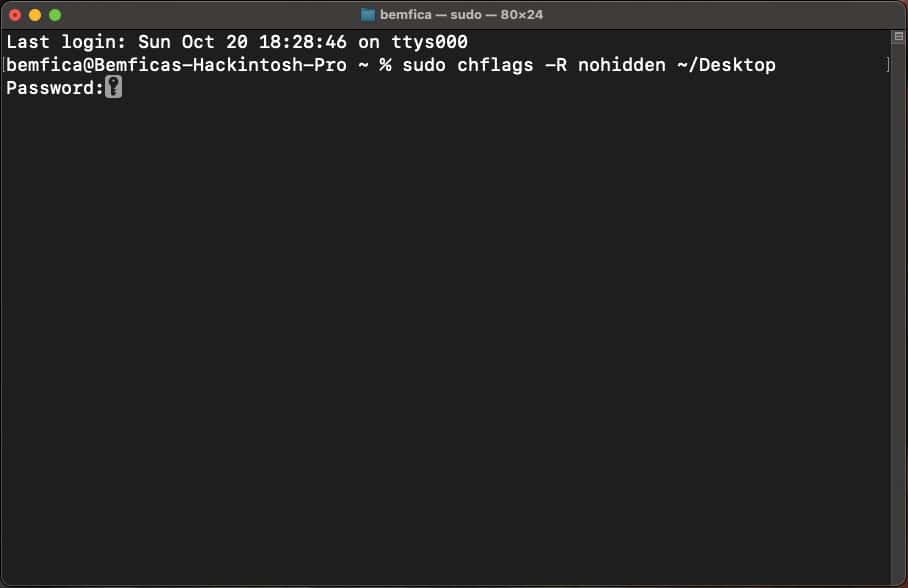 macOS Sequoia Terminal displaying command to unhide Desktop files