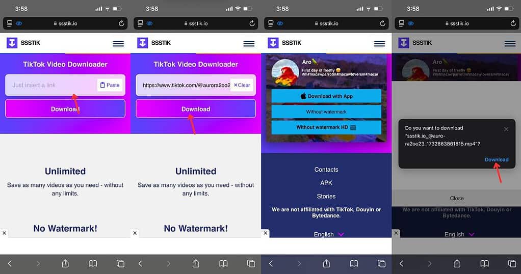 Steps to download TikTok video without watermark using SSSTik on iPhone