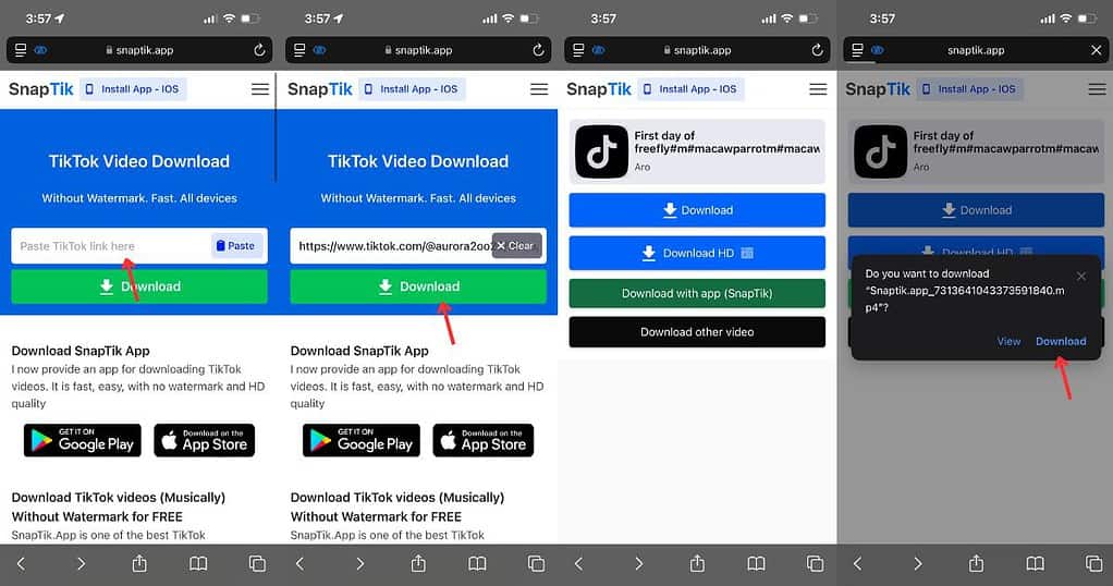 Steps to download TikTok video without watermark using SnapTik on iPhone