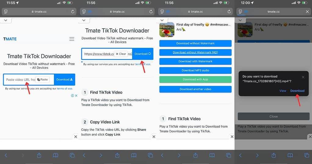 Steps to download TikTok video without watermark using Tmate TikTok Downloader on iPhone