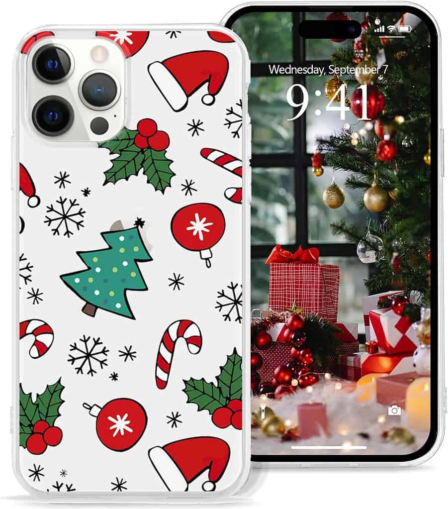 christmas pattern case