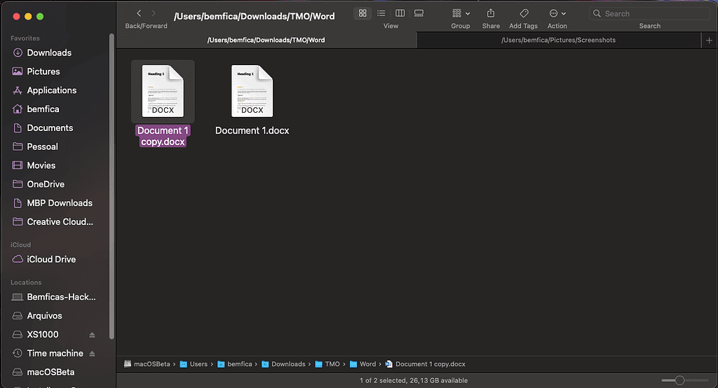 macOS Finder displaying copied files within the same folder