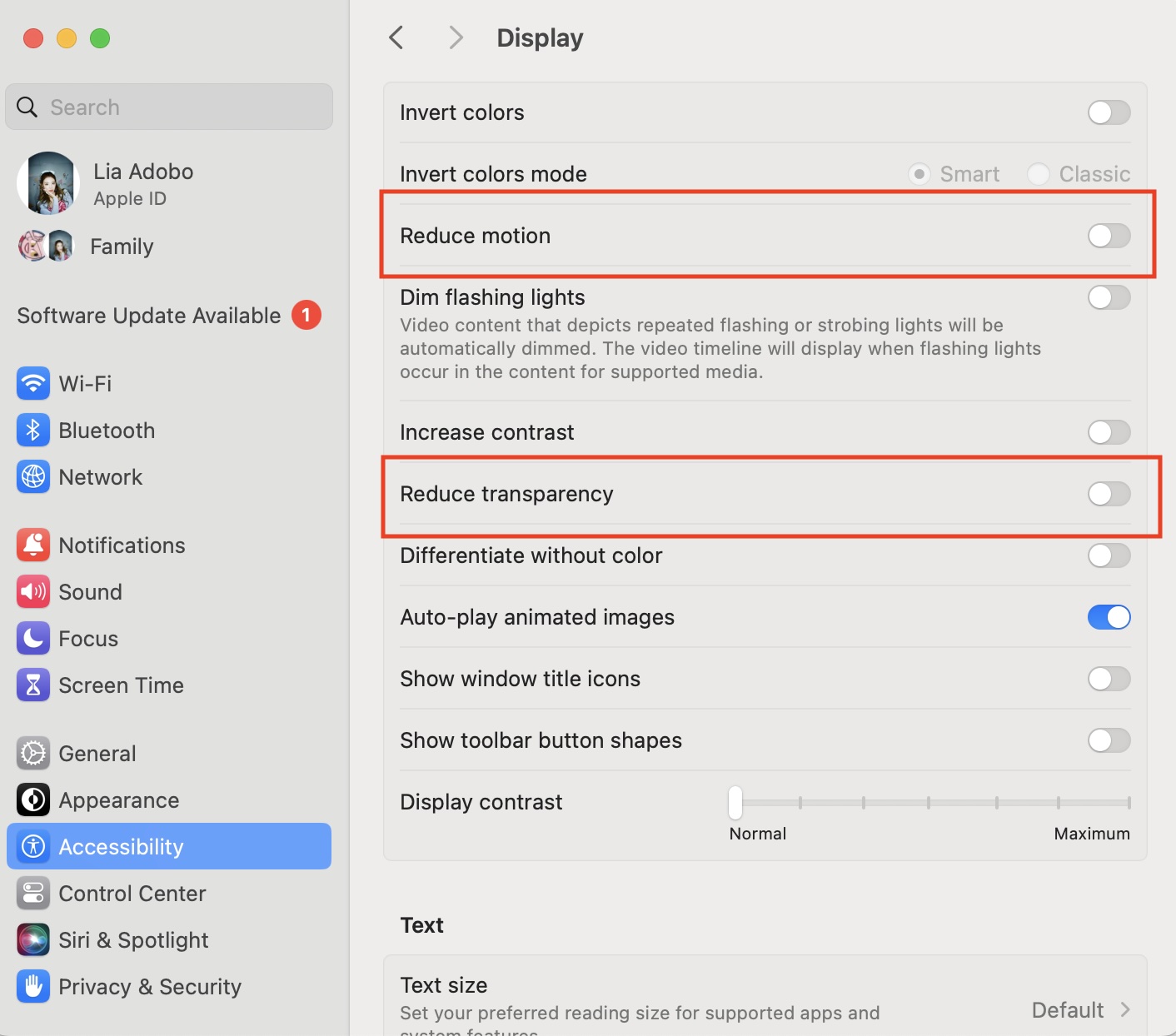 Reduce-Transparency-and-Reduce-Motion-Mac