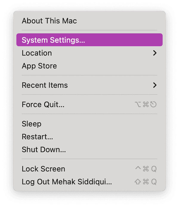 Screenshot of Apple menu on macOS Sequoia