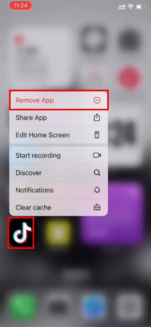 remove app tiktok